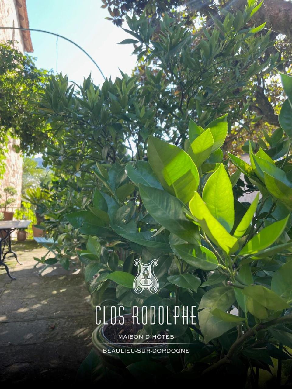 Le Clos Rodolphe Beaulieu-sur-Dordogne Exteriér fotografie